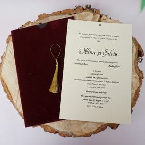 Invitatie 1173