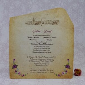 Invitatie 2208