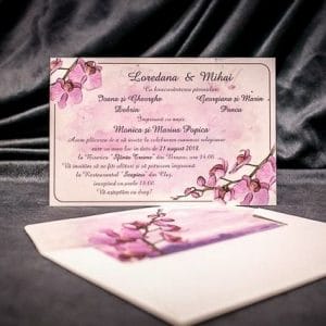 Invitatie 4026